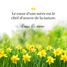 Fleurs jaunes pour célébrer ma maman